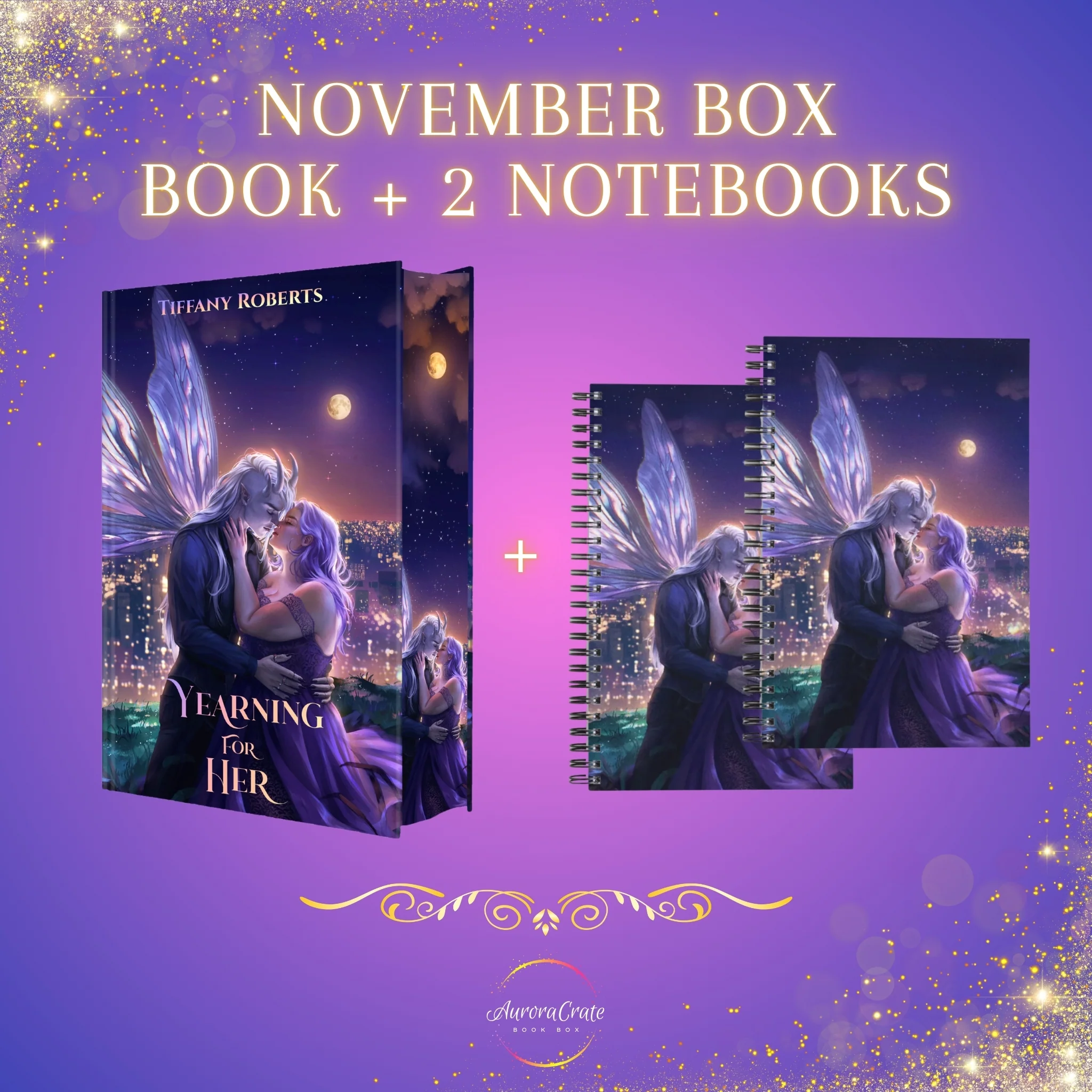November Book Box - Imperfect copy - Image 4